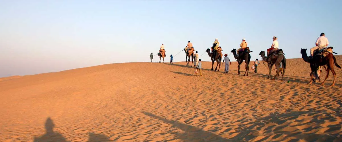 Camel Safari in Muscat