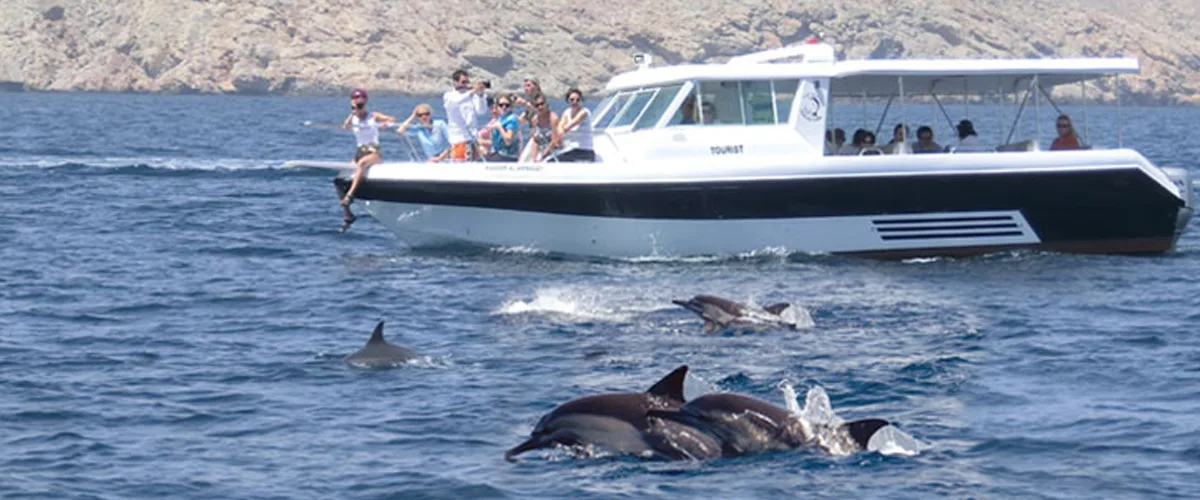 Dolphin watching Muscat