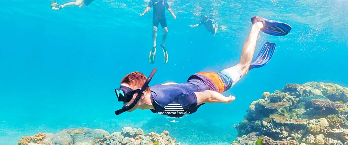 Best Snorkeling in Muscat