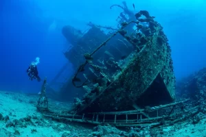 Al Munassir Sea Wreck Snorkeling