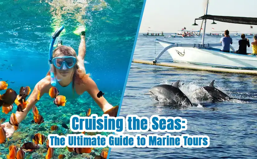 CRUISING THE SEAS: THE ULTIMATE GUIDE TO OMAN SEA TOURS