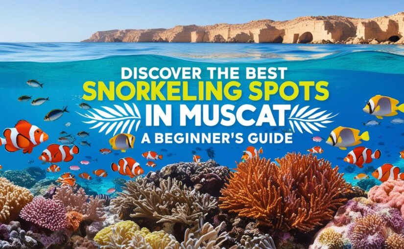 Discover the Best Snorkeling Spots in Muscat: A Beginner’s Guide